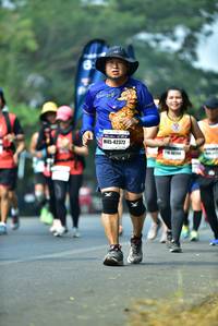 BIB: 42372
                            <button type="button" onclick="openModal(10128000)" class="btn btn-primary btn-sm float-right btn-popup" data-toggle="modal" data-target=".modal-high-quality">
                        <i class="fas fa-shopping-cart"></i> Add to Cart
                    </button>
                                            <button type="button" onclick="isThisMe(10128000, true)" class="btn btn-success btn-sm float-right btn-popup btn-isme hidden" data-toggle="tooltip" data-placement="bottom" title="นี่คือรูปของคุณใช่ไหม คลิกที่นี่เพื่อเอาเข้าอัลบั้ม">
                        <i class="fas fa-plus"></i> Add to album
                    </button>
                    <button type="button" onclick="isThisMe(10128000, false)" class="btn btn-warning btn-sm float-right btn-popup btn-isnotme hidden">
                        <i class="fas fa-ban"></i> Remove from album
                    </button>